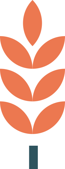 Graan